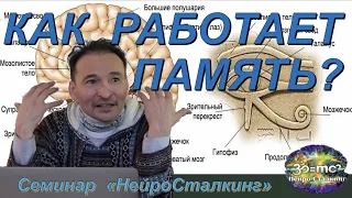 "Как Работает Память?" НейроСталкинг  (онлайн-сессия)