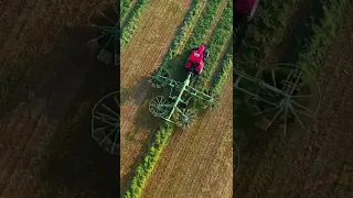 silage and hay marker