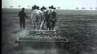 From Grain to Harvest Agriculture Education, 1950s - Film 17834