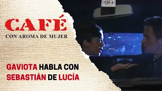 Gaviota le revela a Sebastián lo que le hizo Lucía | Café, con aroma de mujer