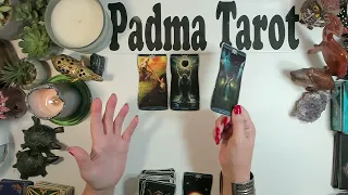 PATH IS CLEARING UP FOR YOU!Messages from Spirit Tarot Reading ✨️🔮