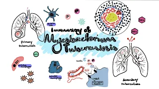 Mycobacterium Tuberculosis (TB) Immunology [Immunology basics, granuloma formation, TB reactivation]