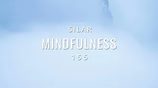 Mindfulness Episode 155 (Organic House)