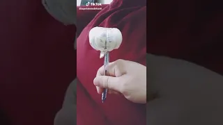 TikTok Musically shakalaka boom boom magic pencil