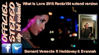 What Is Love 2018 Remix184 extend version - Bernard Vereecke ft Haddaway & Evannah (Video clip HD)