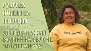 Ответы на вопросы Выпуск 12