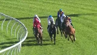 Redzel wins the 2019 Concorde Stakes