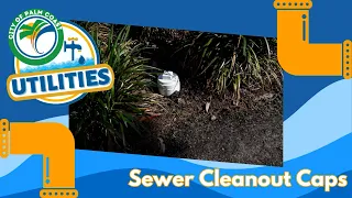 Water Tips: Sewer Cleanout Caps