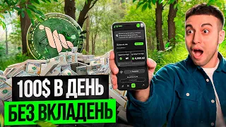 🌱GRASS AIRDROP - 4 ЕПОХА | Повний гайд по абузу Grass | Пасивний дохід без вкладень