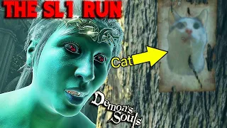 This DEMON'S SOULS SL1 Run Is Actually Pretty Crough!