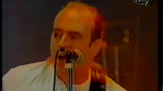 Status Quo live at Brasov (Romania 22-8-1995)