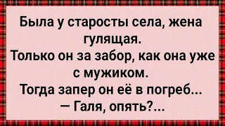 Как Муж Гулящую Жену в Погреб Посадил! Сборник Свежих Анекдотов! Юмор! Позитив!