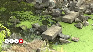 Börtönbüntetést kaphat a cégvezető, aki lecsapolta a Tarnát