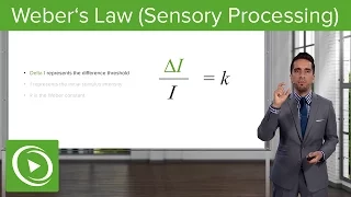 Weber´s Law (Sensory Processing): Proportion & Examples – Sensing the Environment | Lecturio