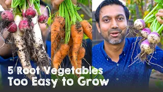 5 Root Vegetables TOO EASY to Grow