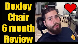 Dexley Mesh Chair 6 Month Review
