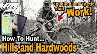 How To Hunt Public Land In Hills And Hardwoods