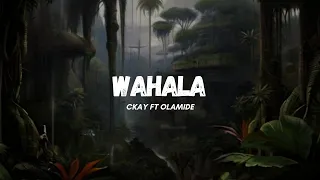 Ckay ft. Olamide - Wahala (lyrics) |spin around like a tornado tornado