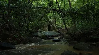 The Haunted Poinsett Bridge