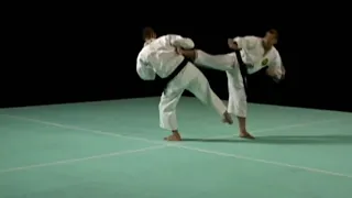 Waza Dan 2 | Shorinji Kempo Waza (Techniques) | Part C | 少林寺拳法