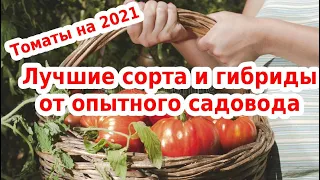 Томаты на 2021 год для посадки. Лучшие сорта и гибриды от опытного садовода