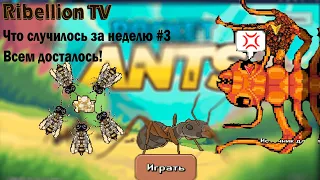 Pocket Ants: Что случилось за неделю #3 | Проходим улей |  Гнездо огненных муравьев с 70 солдатами