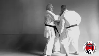 Naihanchi - Naifanchi or Tekki Kata : bunkai