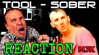 Vocal Coach Reaction To - Tool-Sober - Ken Tamplin