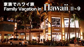 How much for Hawaii trip? [SecondHalf] / [Hawaii Vacation  II-9] /Daily Payments in Hawaii/Airfare