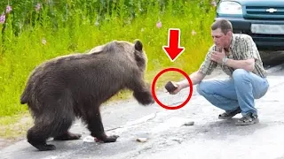 A Bear Followed Driver For 10km! When He Got Out of The Car,  He Realized A Shock Reason