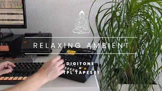 Relaxing Ambient Track with Digitone and TPL Tapes.01