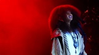 The Roots and Erykah Badu Live Concert Roots Picnic Philly 2015