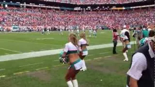 Miami Dolphins Cheerleaders