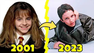 Harry Potter Antes e Depois 2023