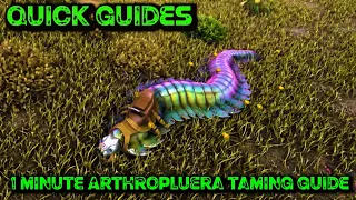 Ark Quick Guides - Arthropluera - The 1 Minute Taming Guide! (Without A Flyer)