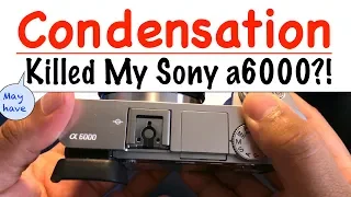 Condensation May Have Killed My Sony a6000? | How To find Cheap Sony Cameras!