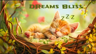 💤 Sleep little Cat 🌠 432hz nature lullaby - Baby Sleep Music😴