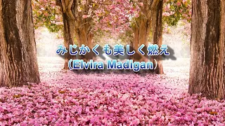 映画音楽『みじかくも美しく燃え』 　　  Cinema Music  " Elvira Madigan "