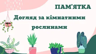 Догляд за кімнатними рослинами ПАМ'ЯТКА | ЯДС