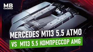 Моторы от Mercedes M113 5,5 атмосферный / против 5,5 AMG компрессор в чем отличия.