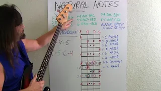 Bass Guitar For Beginners What Bassists Should Know