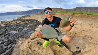 Kala Slaya / We All Hooked Up / Fishing Hawaii #GETIT