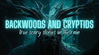 TRUE Backwoods & Cryptids Stories in the Rain | COMP | True Scary Stories in the Rain