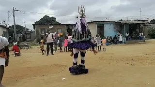 Le Zaouli national de bogopinfla