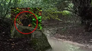 Mysterious creature caught on camera! scary videos in the woods