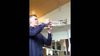 E.Artemiev beautiful trumpet sound