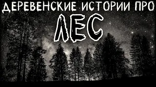 Деревенские истории про лес (3в1)