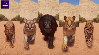 Animal Race Big Cats Category Race in Planet Zoo YOUTUBE GAMER
