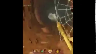 grounded spider meme