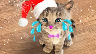 SPECIAL LITTLE KITTEN ADVENTURE MEOW - KITTEN CARE AND HER SPECIAL LONG CHRISTMAS JOURNEY